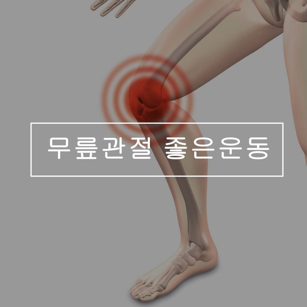 무릎관절-좋은운동