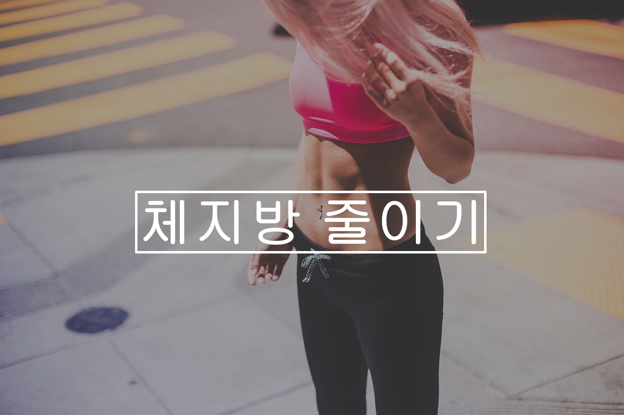 체지방 줄이기 - 최고닥 체지방 줄이기 - 최고닥